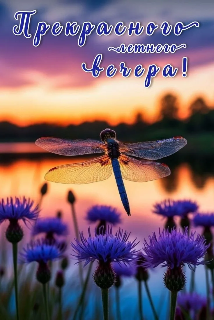 ✨#добрый_вечер

Красивые открытки 💌
⠀в Max | в Теlegram