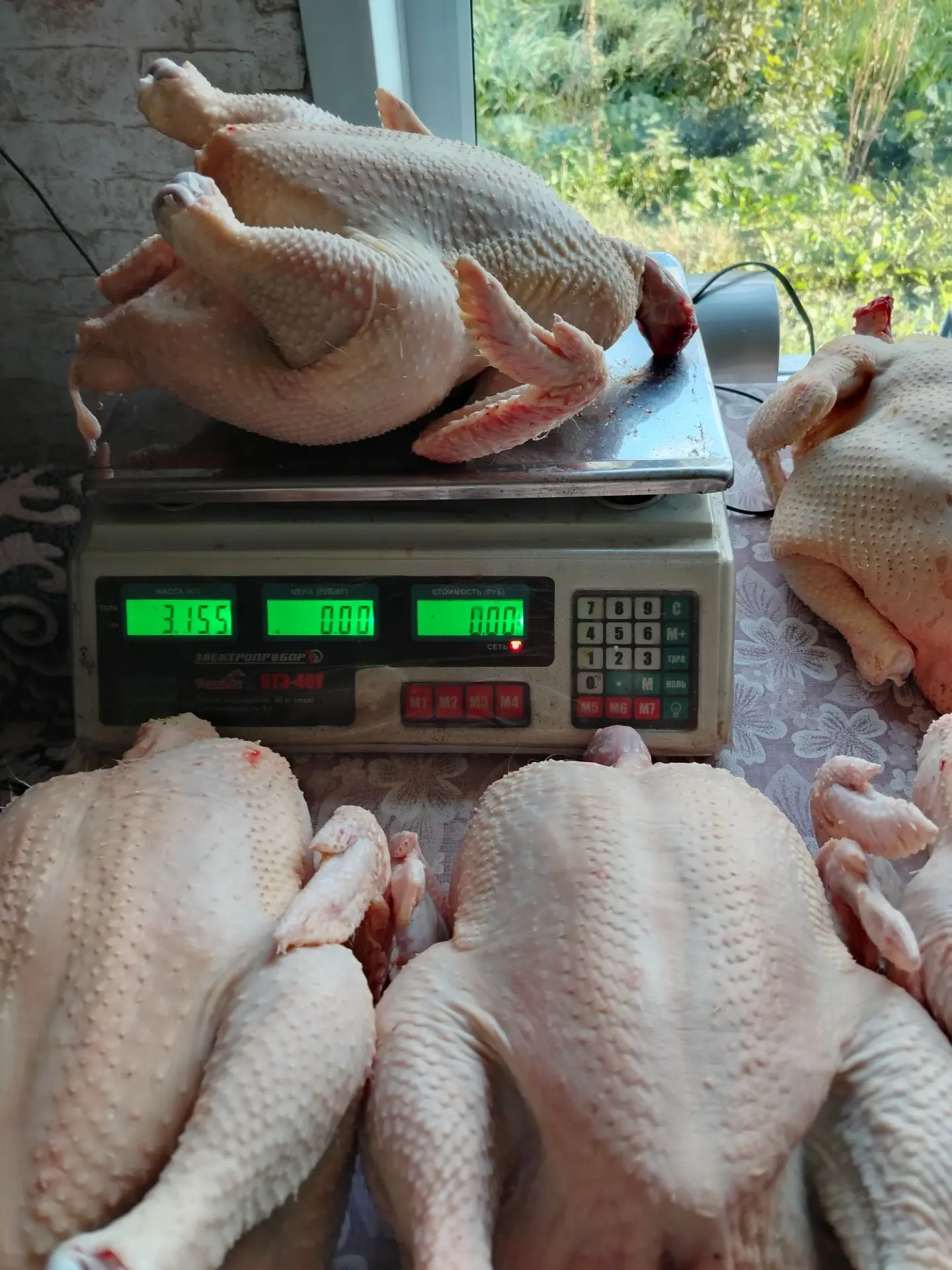 Мясо бройлеров продам 350 руб кг звоните 89879622351
