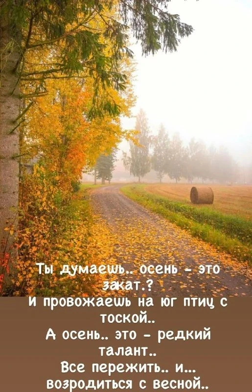 Открытки: подписаться ❤️