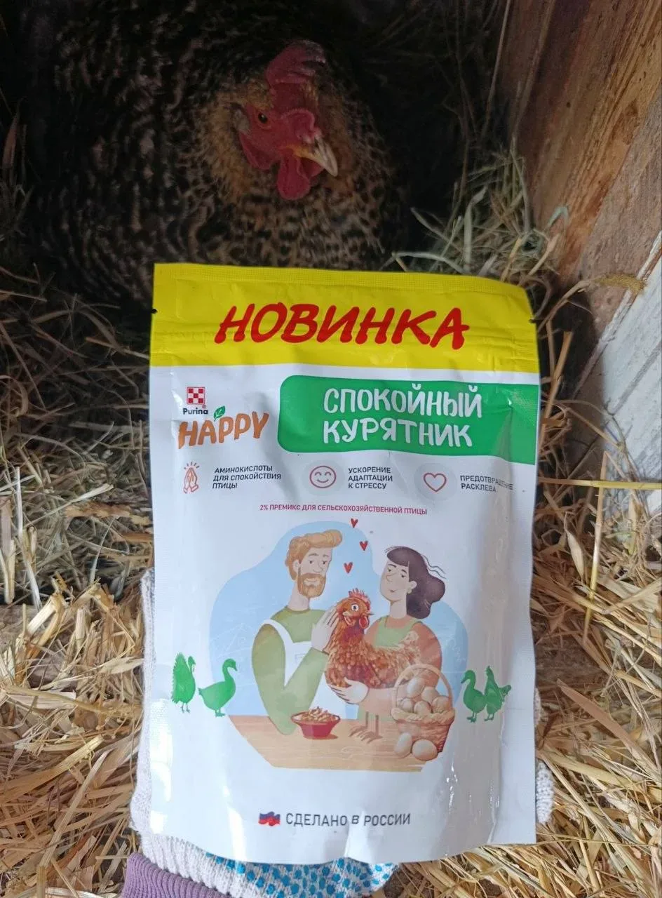 В курятнике порядок навела и курочек своих покормила 🤗  Обязательно добавляю в привычный для них кор