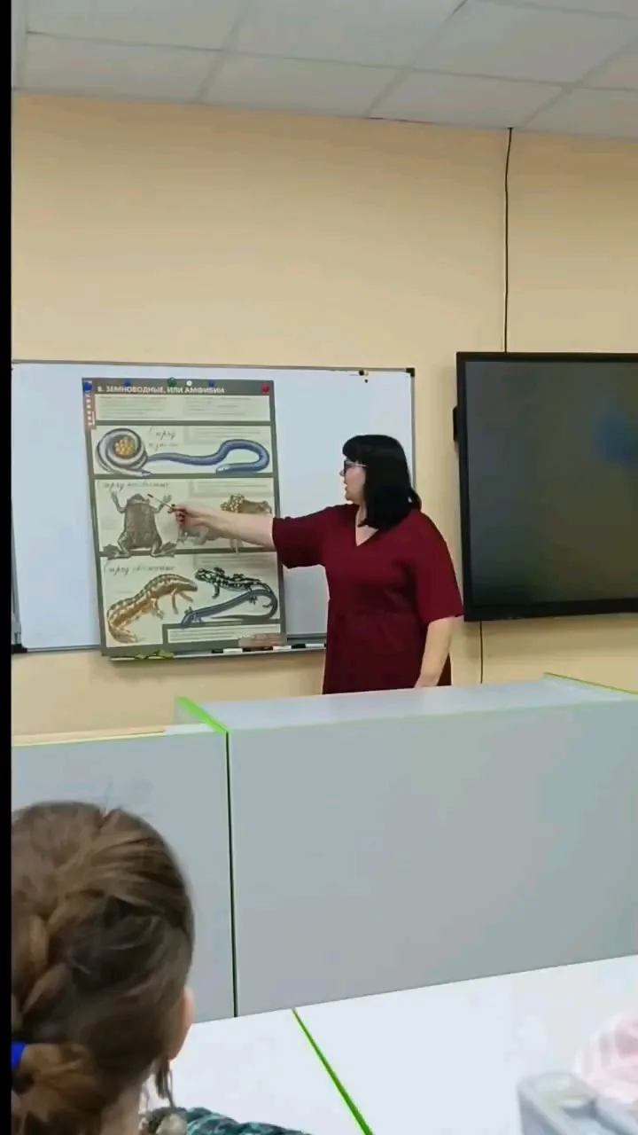 🎉 «Учителя вне школы»: когда профессия — это не только уроки! 🎉