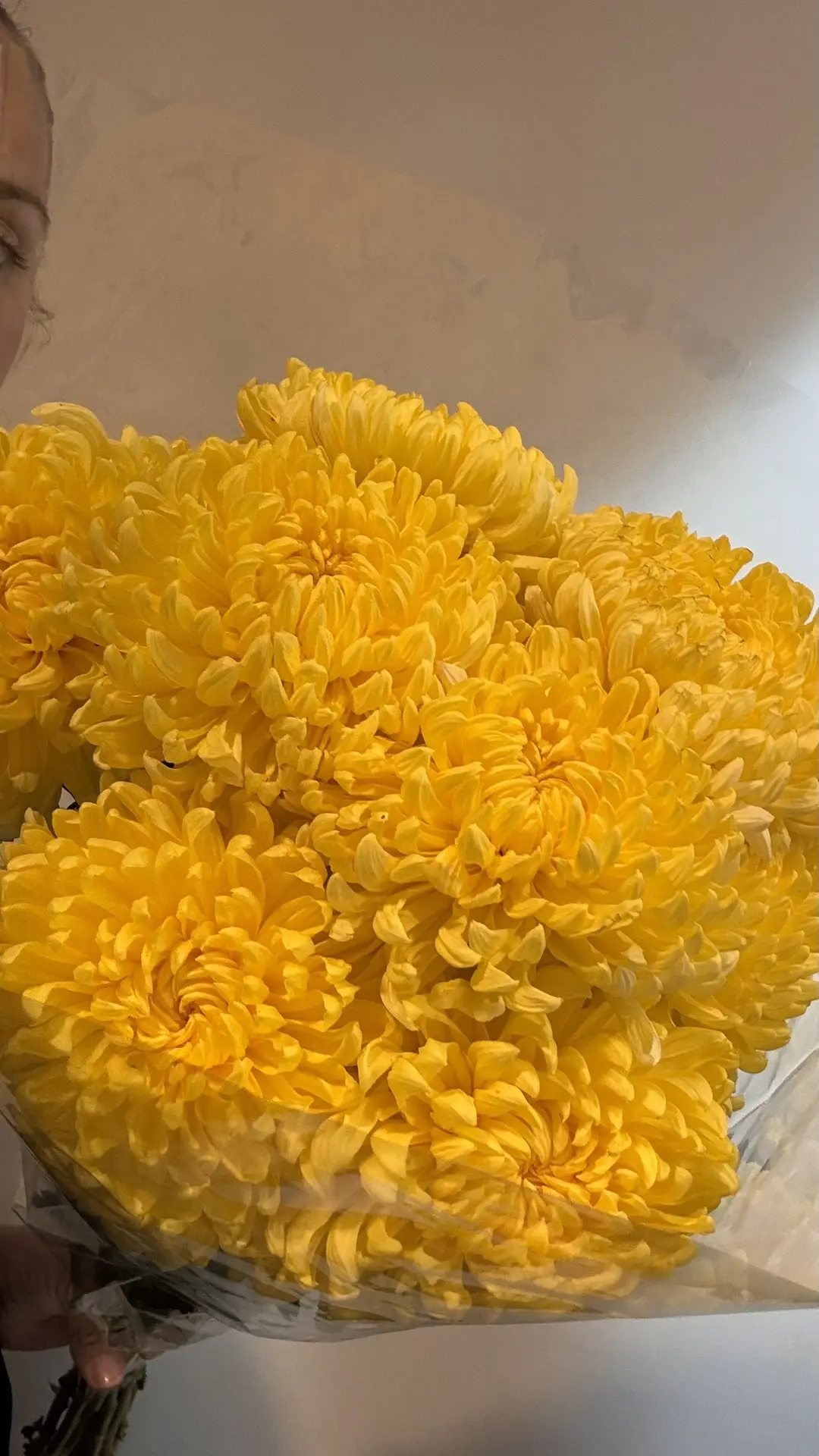 Какие краски к нам приехали😍