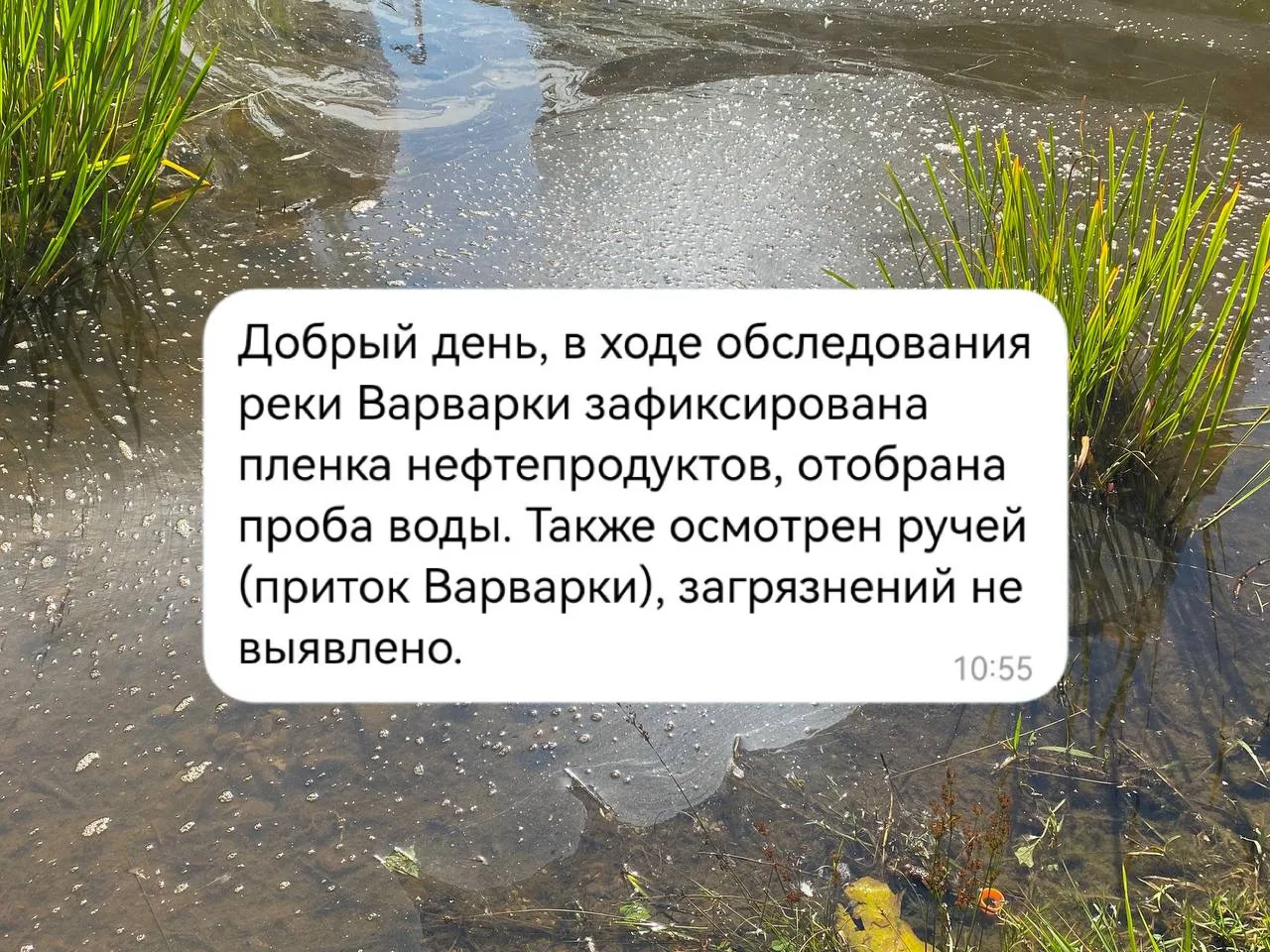В результате обследования водоема в Скандинавии Мосприрода зафиксировала пленку нефтепр...
