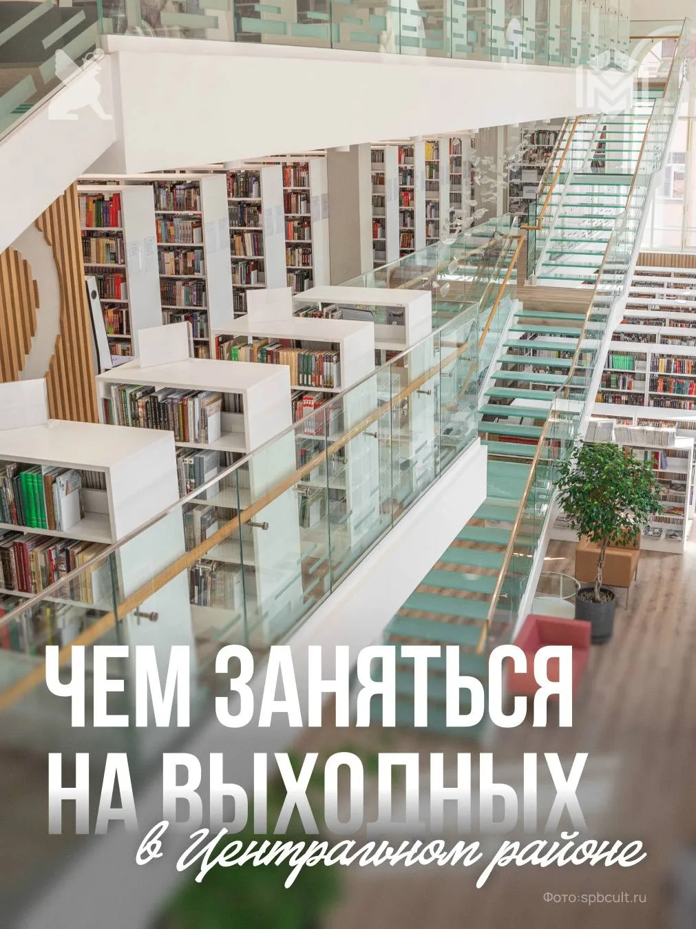 Как познавательно и интересно провести эти выходные в Центральном районе?