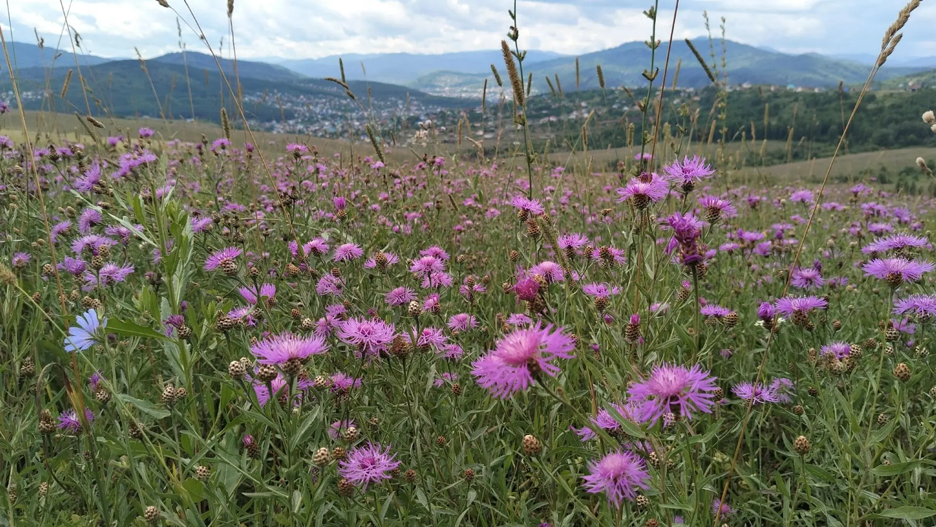 Июль 💜

Фото: Катерина Красавина