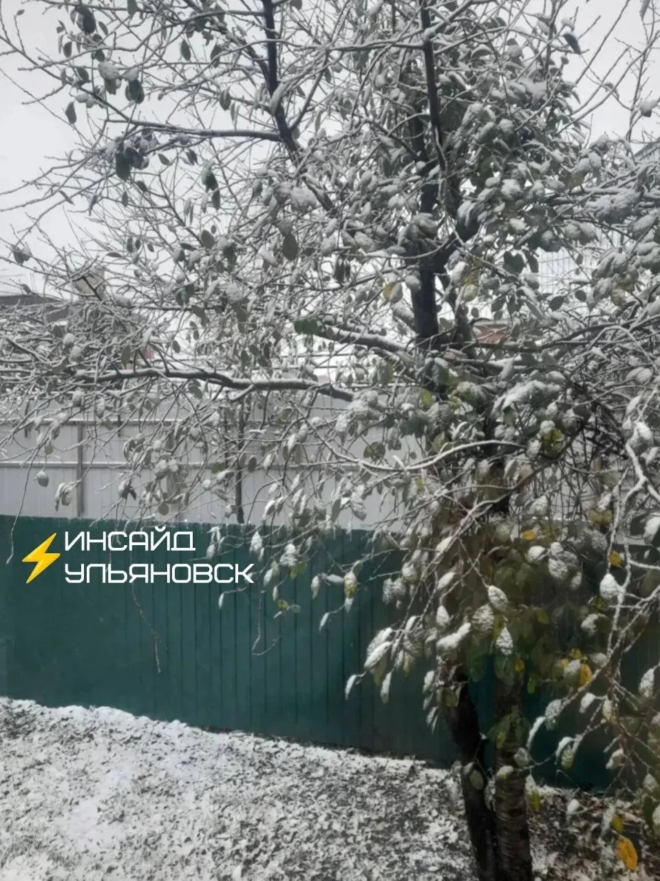 ☃ В приграничных районах Ульяновской области начались первые снегопады.