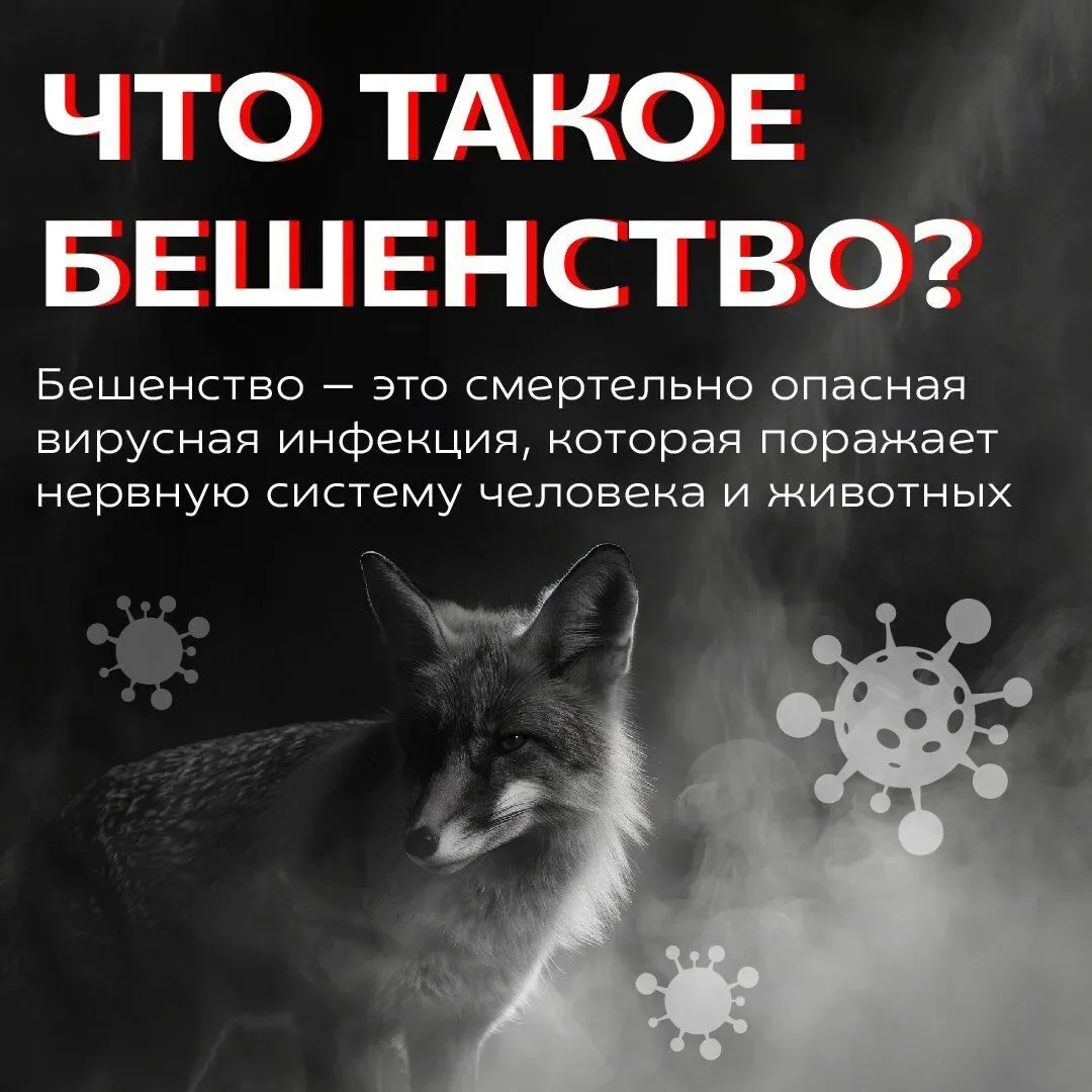 или все тело.