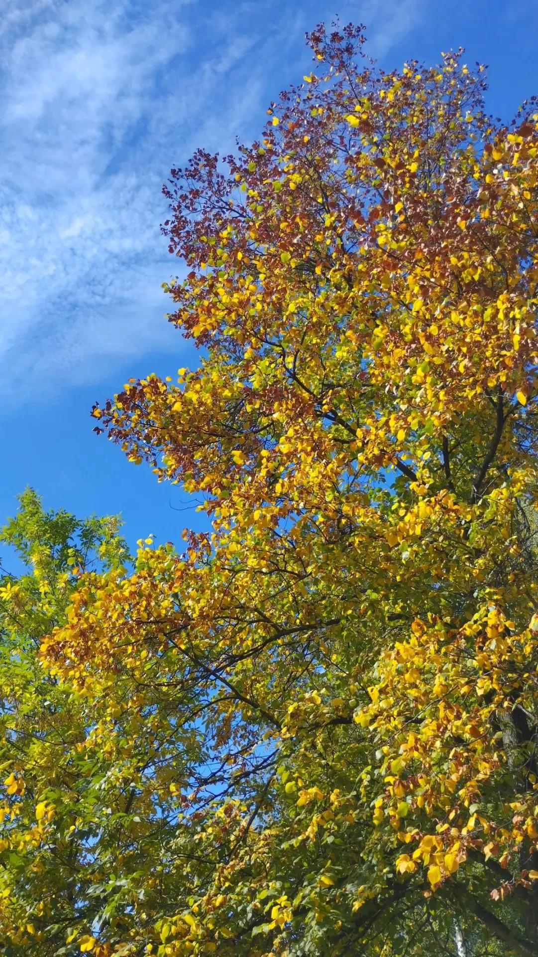 Доброе субботнее утро ☀️🍂