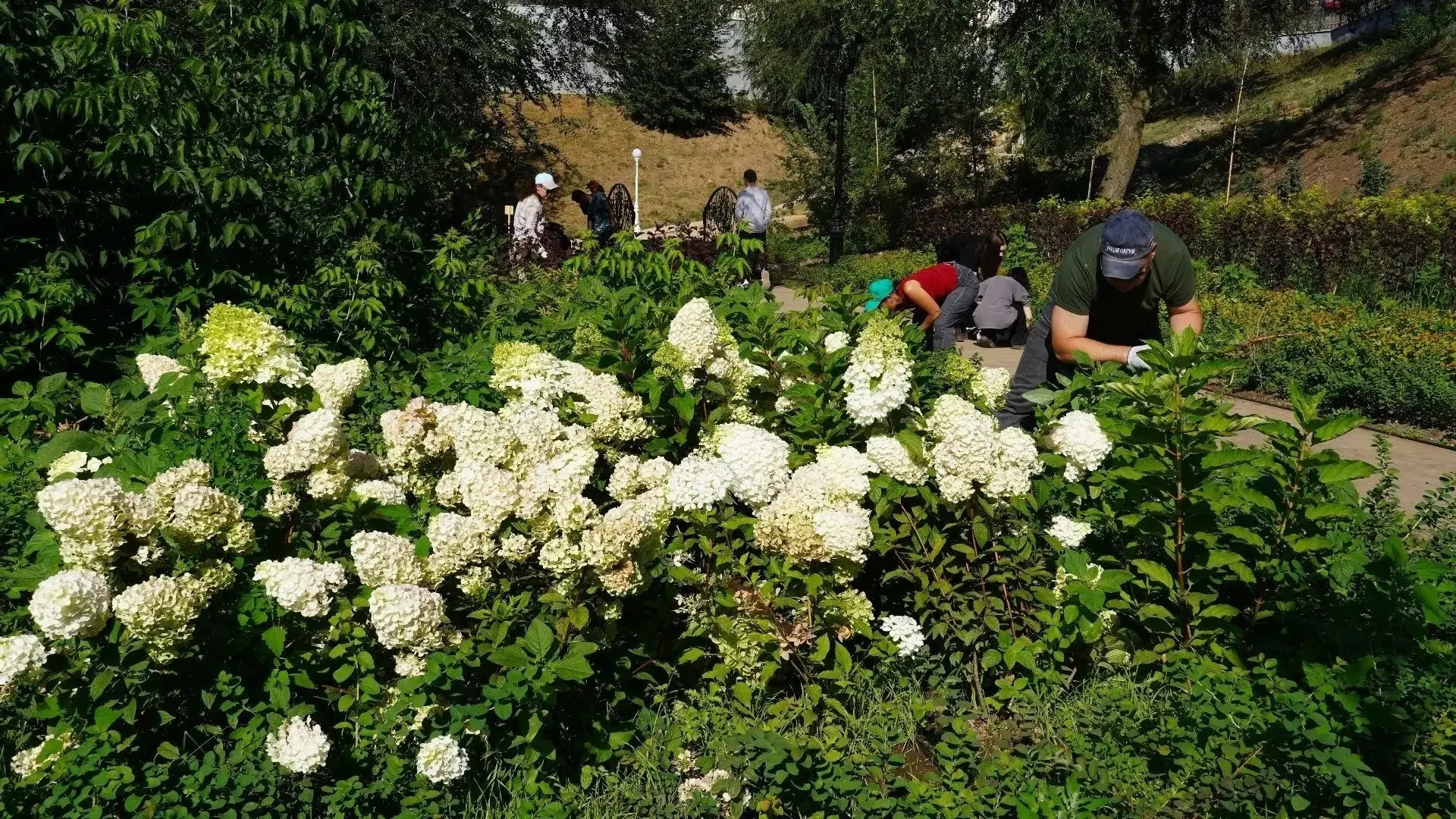🌿 Елизаветинский спуск: забота о зелёных насаждениях🌳