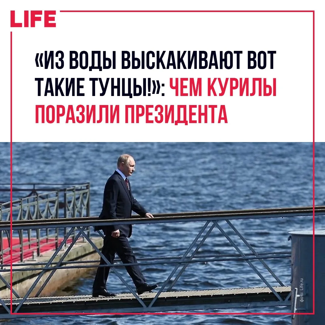 Природные богатства Курильских островов впечатлили Владимира Путина, несмотря на то что...