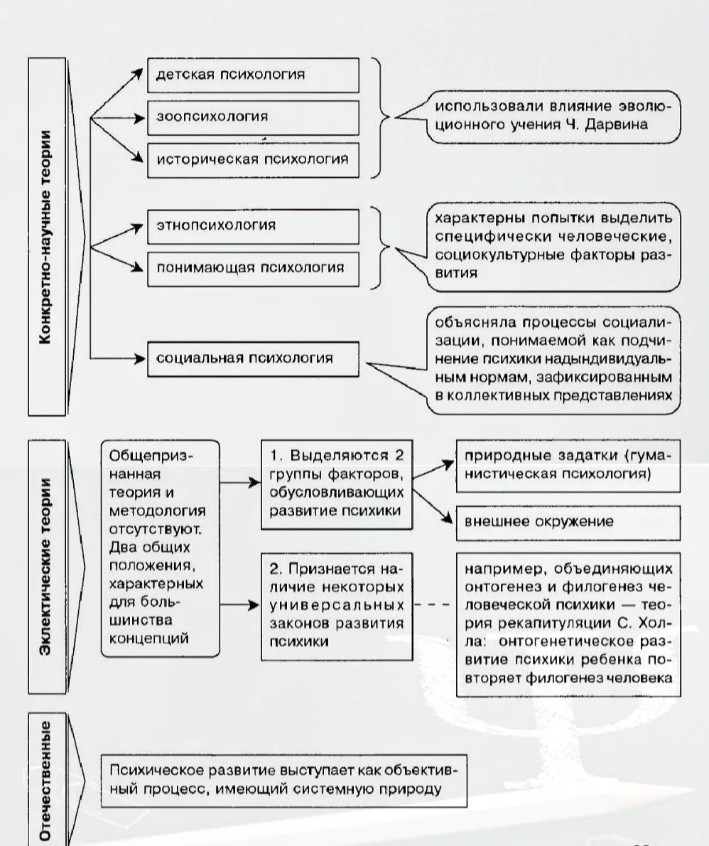 🧠 Теории психического развития: почему человек меняется?

В истории психологии существовало множест