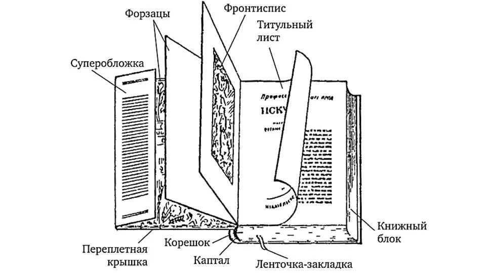 Из чего состоят наши любимые книги