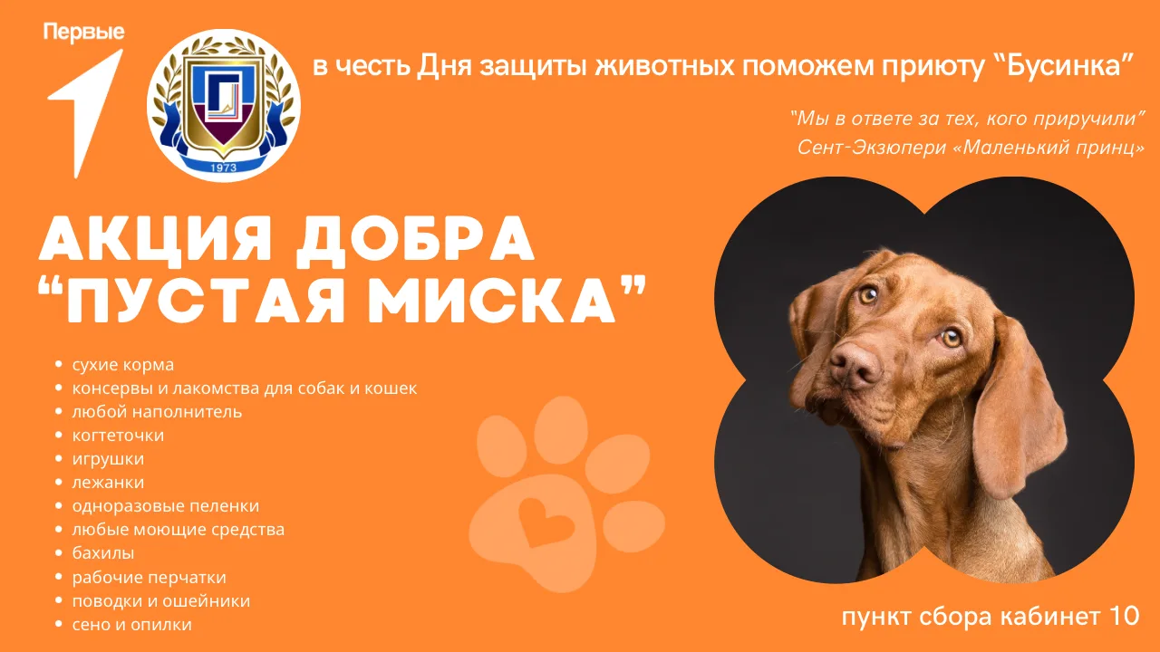 🐾 АКЦИЯ ДОБРА «ПУСТАЯ МИСКА» 🐾