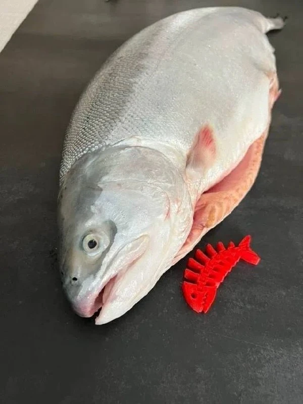 Хотели познакомиться с морской форелью? Начните с небольшого размера 🐟🌊