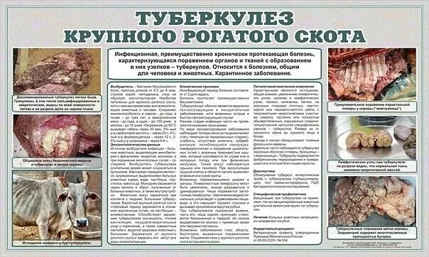 Памятка для населения