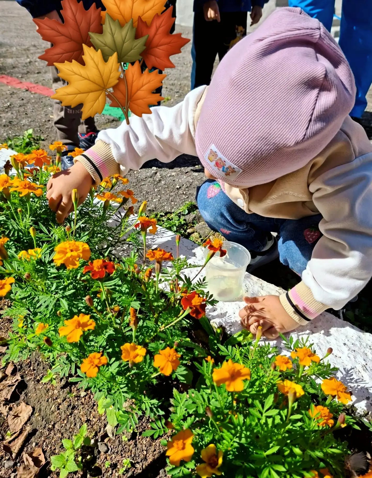🍂 Осень — удивительное время года: воздух становится прохладнее, а краски вокруг — нас...