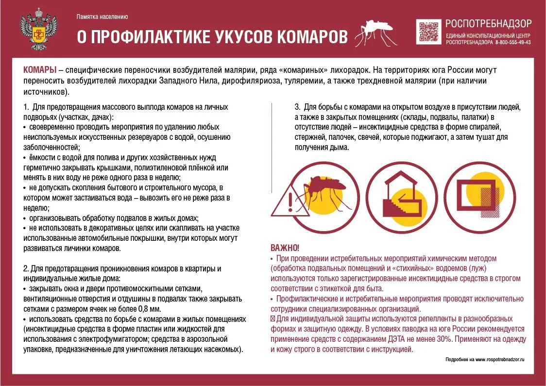 20 августа отмечается Всемирный день комара. Комары имеют значение для человека как нас...