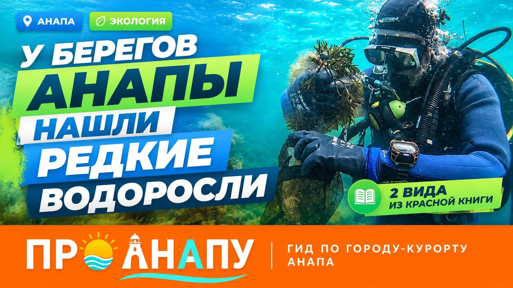 У берегов Анапы нашли два редких вида водорослей из Красной книги
