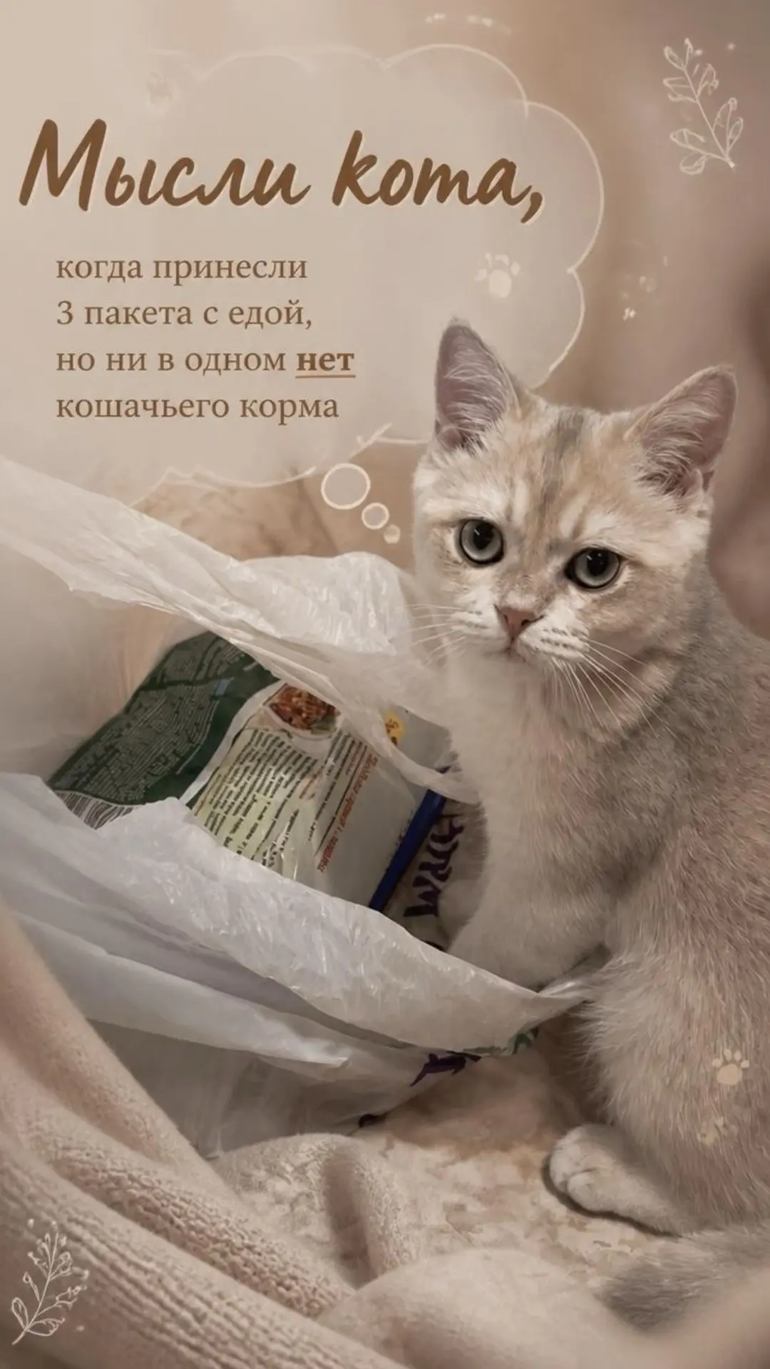 Пушочку носит еду свой курьер 👍😀