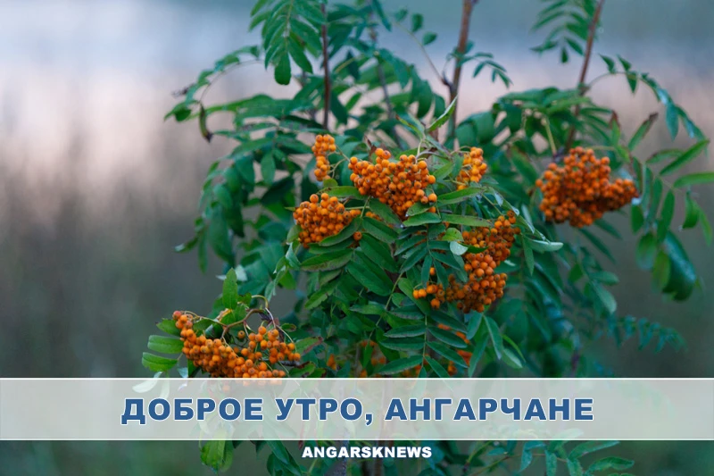 Утренняя лента Ангарска