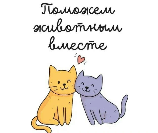 🐾 4 ОКТЯБРЯ — ВСЕМИРНЫЙ ДЕНЬ ЖИВОТНЫХ! 🐾