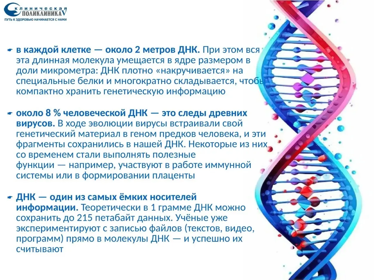 3 сентября — День открытия уникальности ДНК!