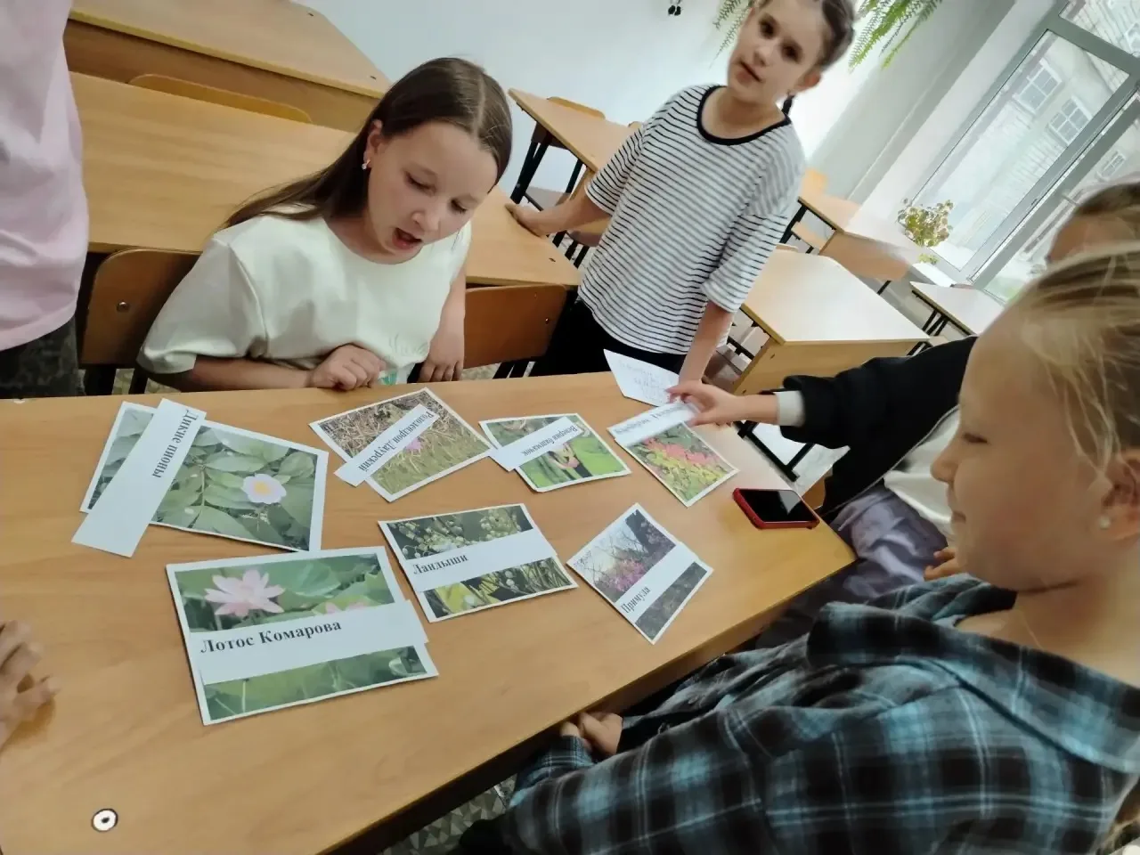 ▌ 🗺️ В поисках сокровищ Приморья: как прошёл квест «Моё Приморье»
Лето — время не только для отдыха