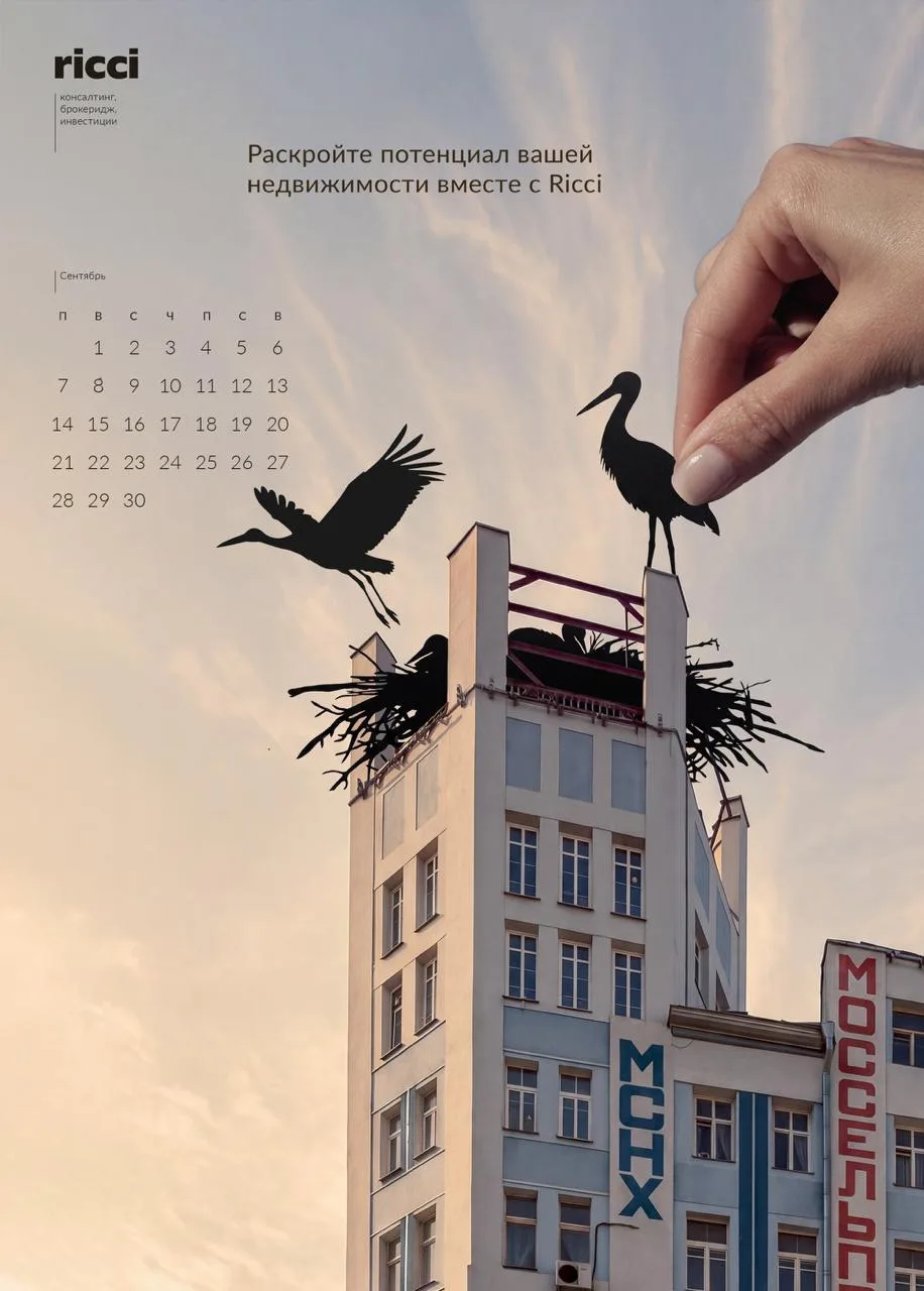 🕊️ Сентябрь — возвращение в рабочий ритм