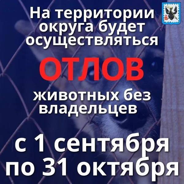 📍В период с 1 сентября по 31 октября на территории округа будет осуществляться отлов ж...