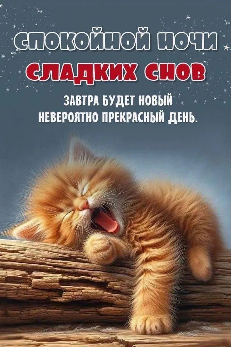 #СладкихСнов 😻