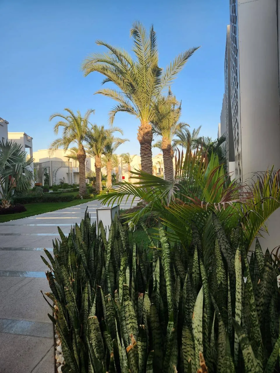 📍Sunrise Remal Resort 4*