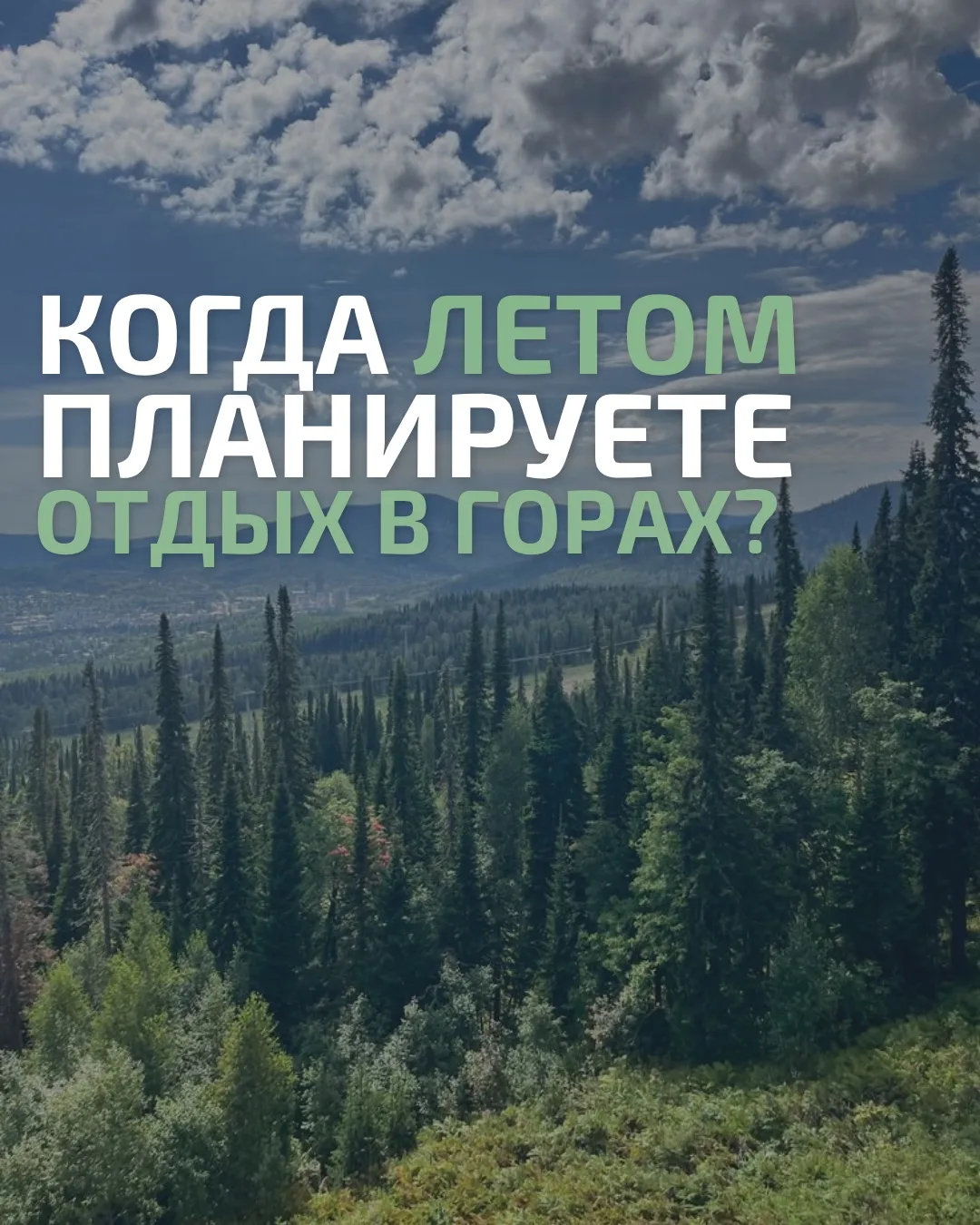 Оставляйте реакцию: