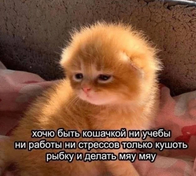 😭😭