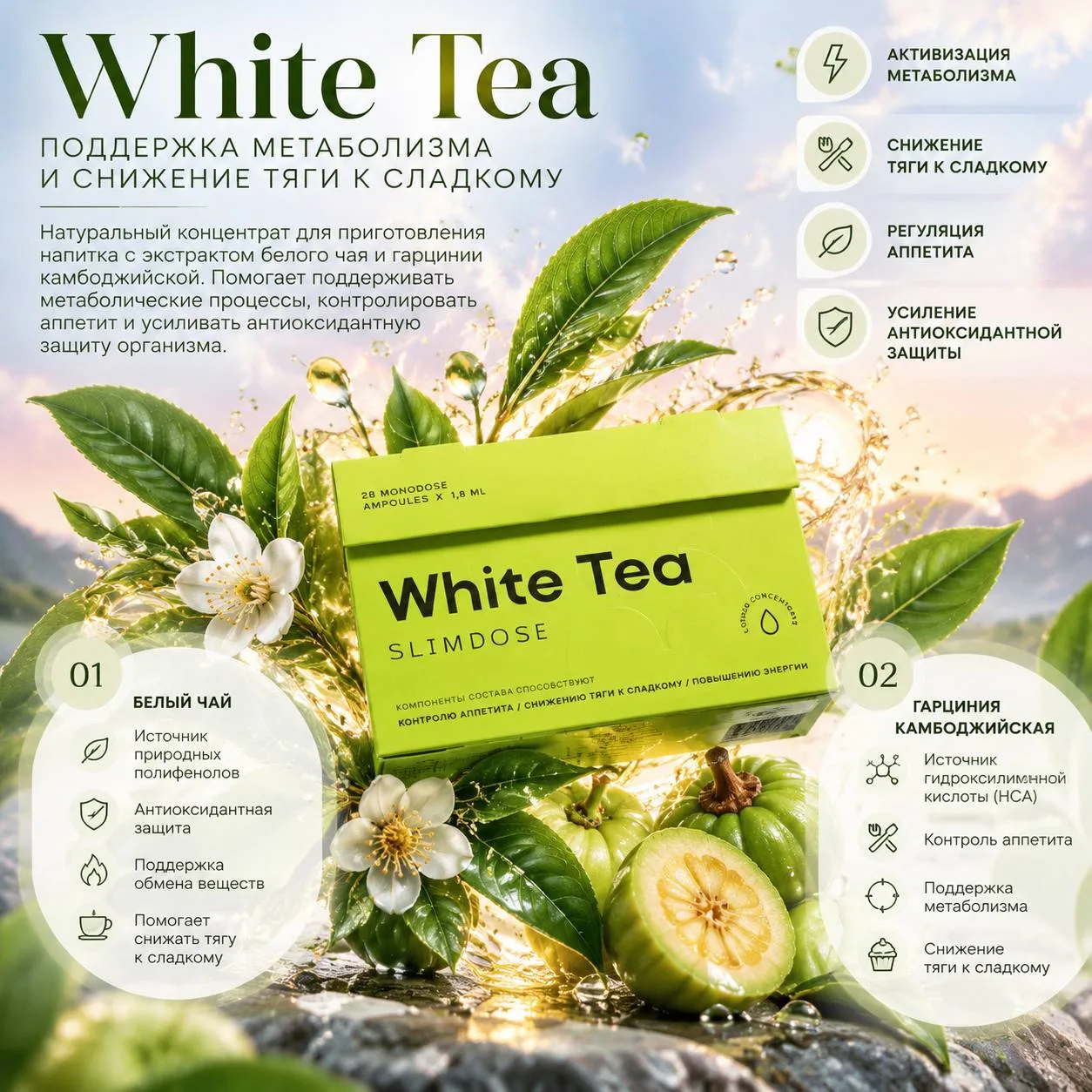 WHITE TEA - ПОДДЕРЖКА МЕТАБОЛИЗМА И СНИЖЕНИЕ ТЯГИ К СЛАДКОМУ