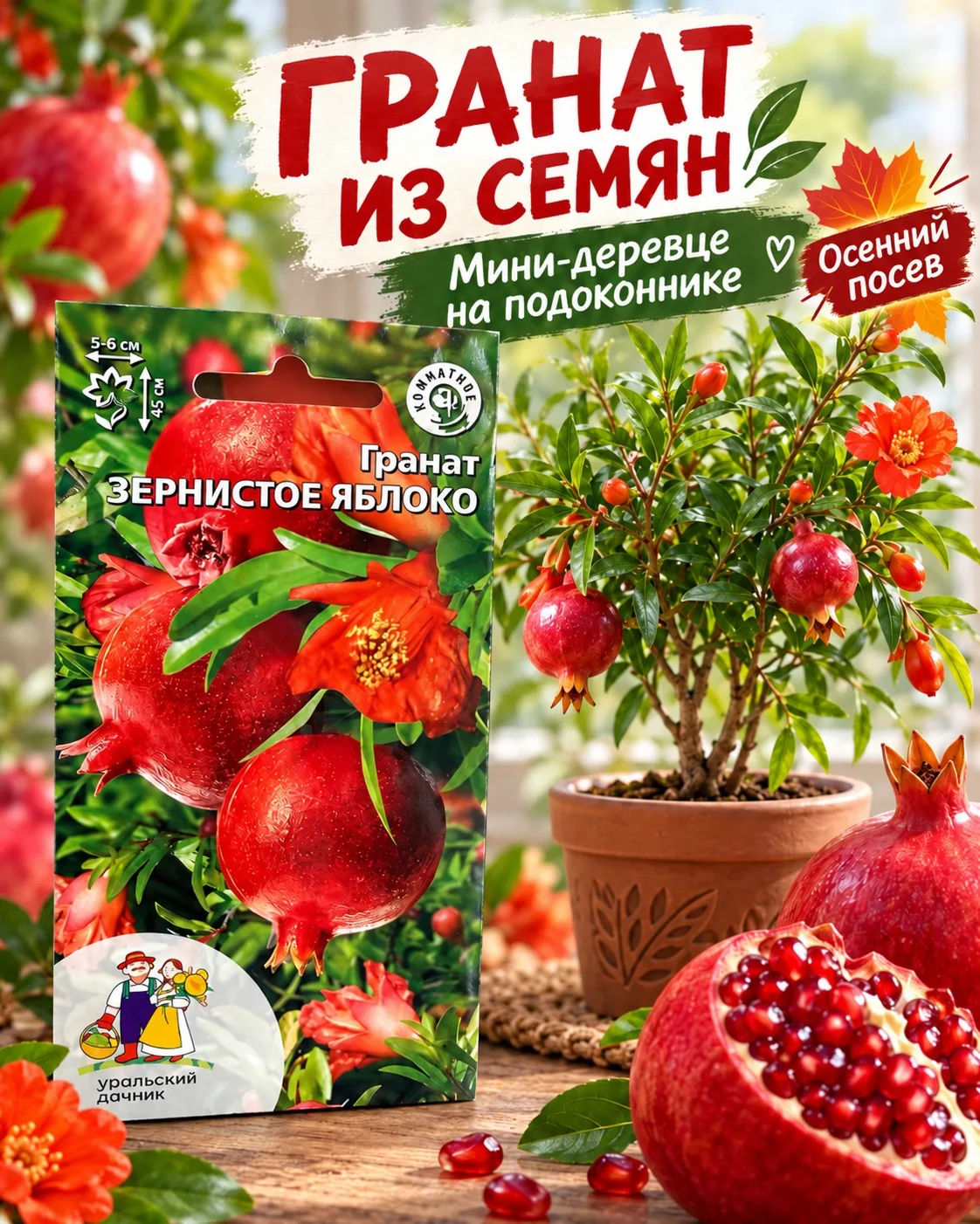 🍎 ГРАНАТ ИЗ СЕМЕЧКА — ПРЯМО НА ПОДОКОННИКЕ! А ВЫ ПРОБОВАЛИ ВЫРАСТИТЬ СВОЁ ГРАНАТОВОЕ Д...