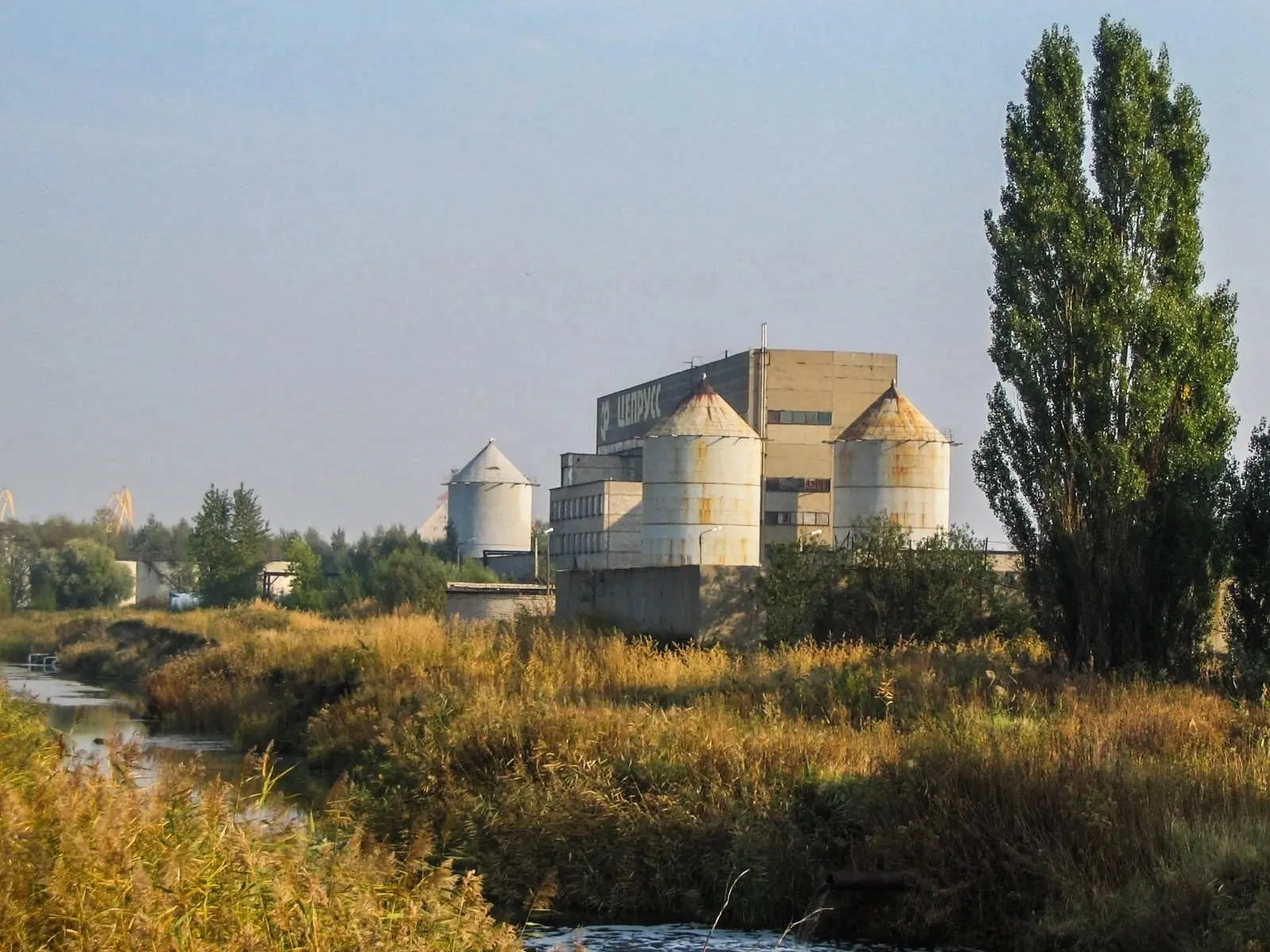 ЯНТАРНЫЙ ЦЕПРУСС