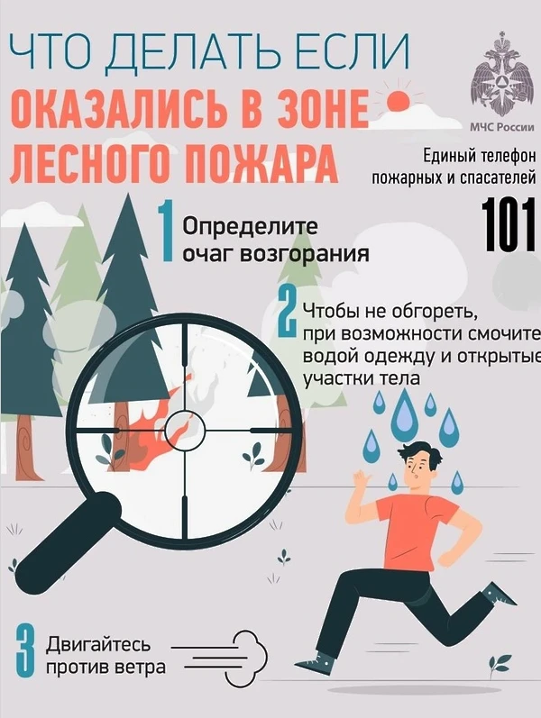 👩‍🚒 В ГУ МЧС России по ЛНР предупреждают о чрезвычайной пожароопасности в северо-запа...