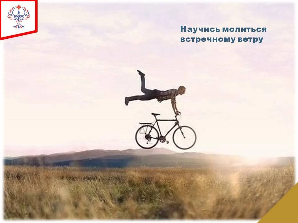 ✅ Мы привыкли думать, что спорт — это про кубики пресса, потные футболки и мучительную ...