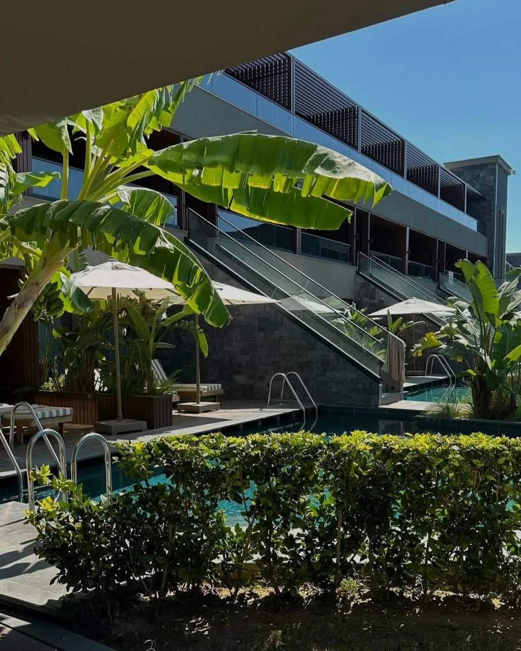 🇹🇷Турция, Сиде
🌸Jacaranda Luxury Resort 5*

Стильный и ухоженный отель с красивой зелёной террито