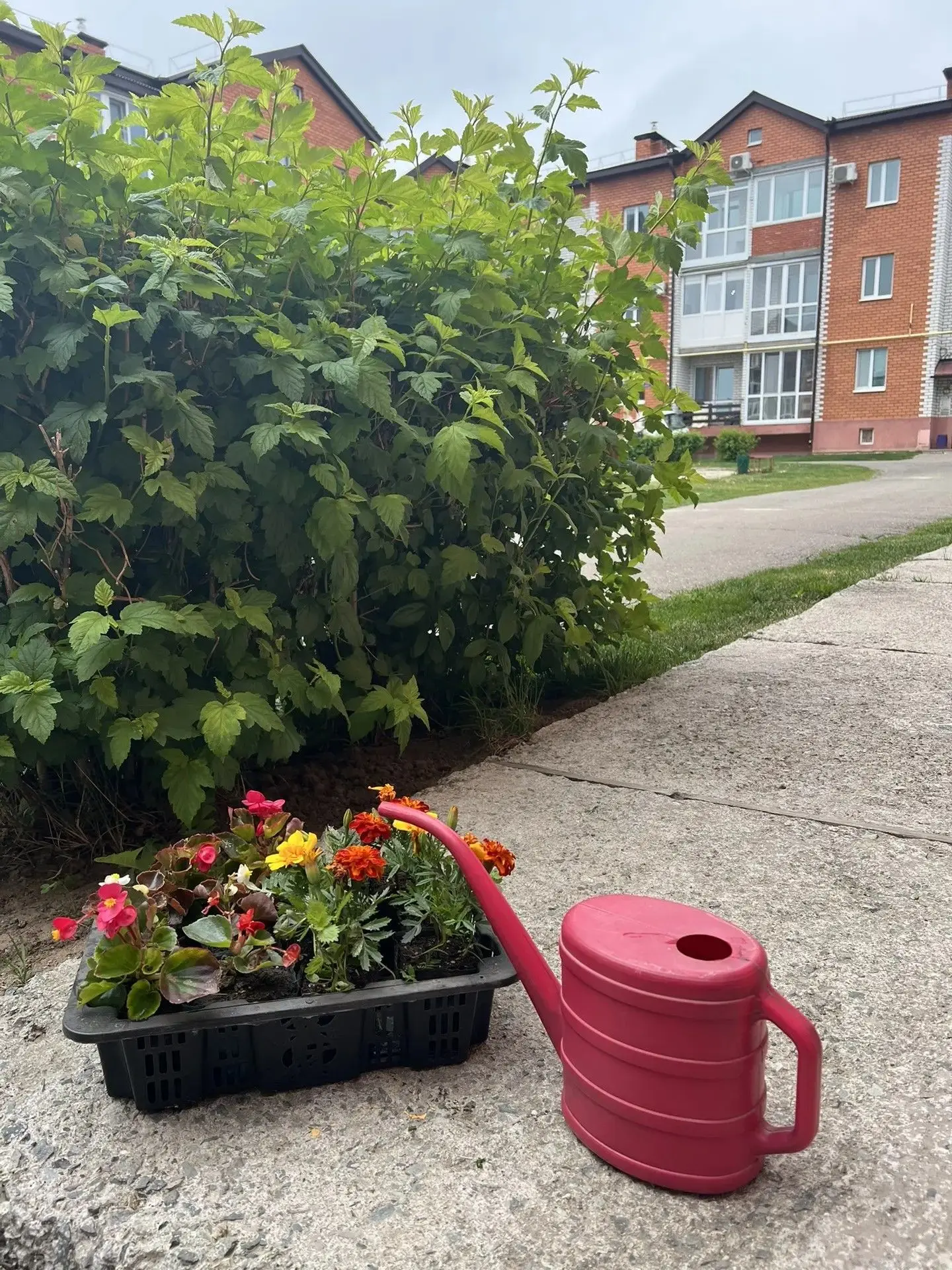 Дорогие жители!☀️Спасибо огромное всем, кто пришёл на высадку цветов и помог превратить...