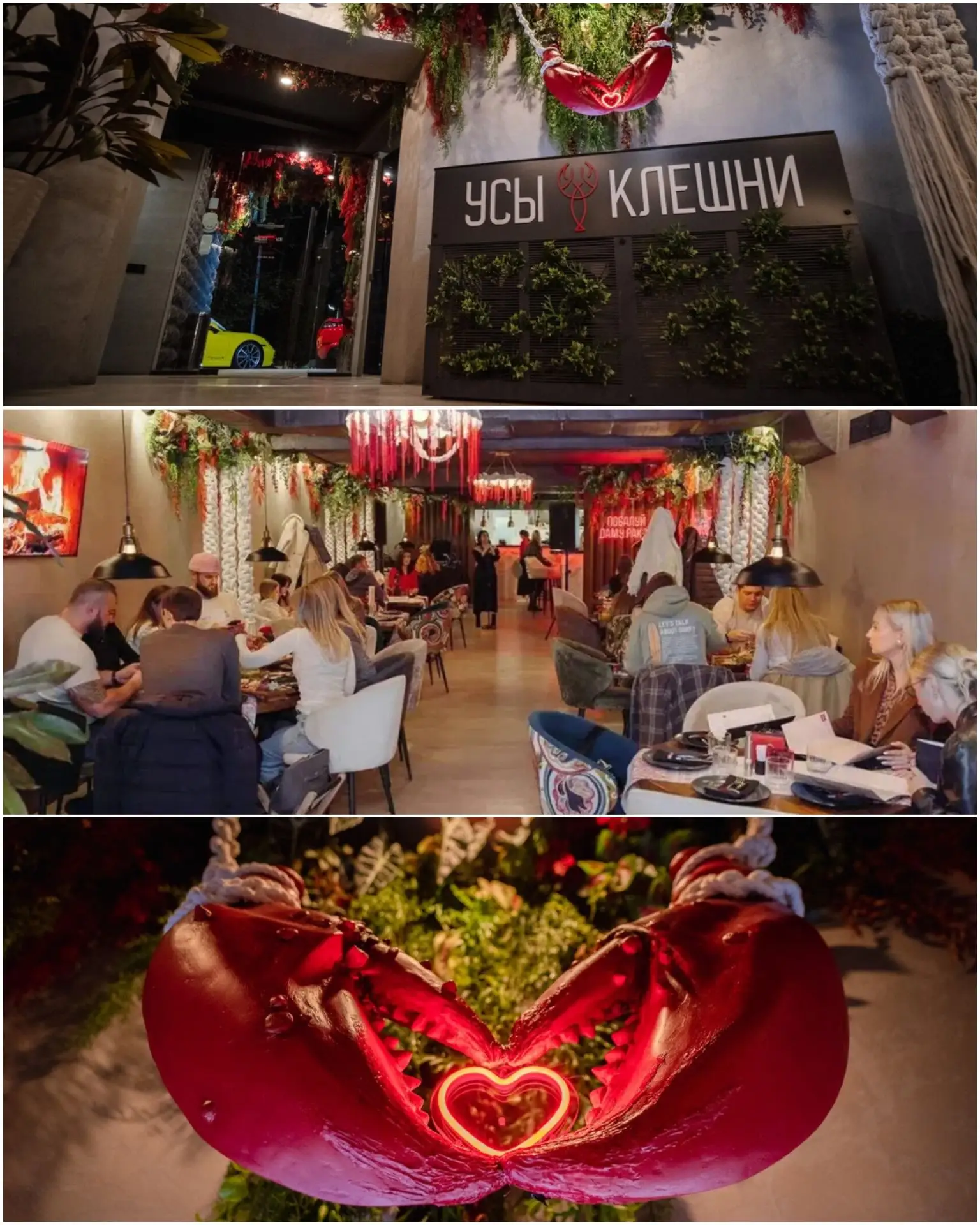 Всем прекрасного дня 🌸