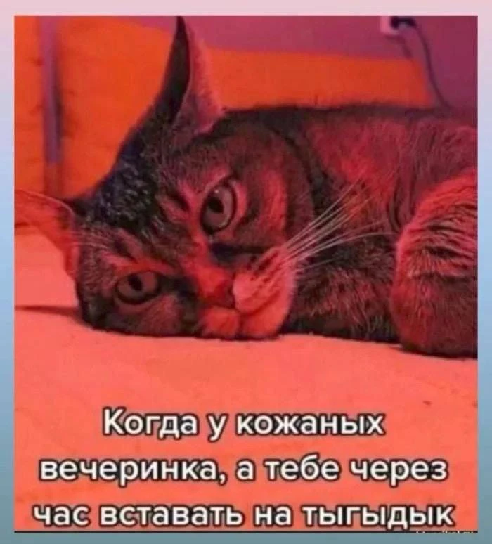 ❤️Взрослые девочки в Макс / чат в Макс