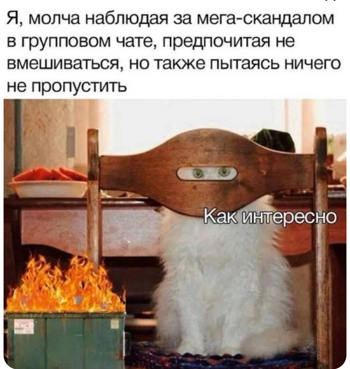 #мемыдня