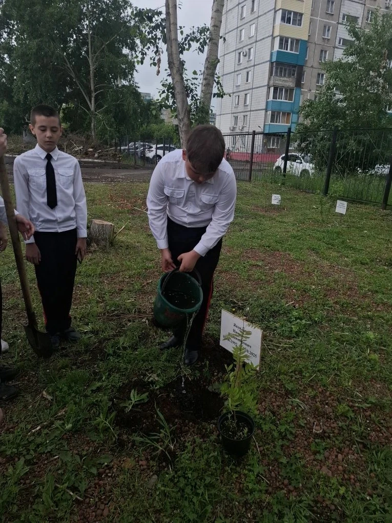 🌳Сегодня кадеты 6 "К" и 7 "К" классов приняли участие в значимом событии — они посадили деревья на 