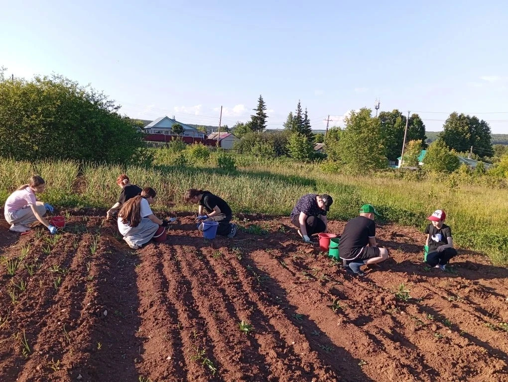 Трудовая практика в самом разгаре.🌱 
Обучающиеся 6-б  класса навели порядок на грядках, поливали и 