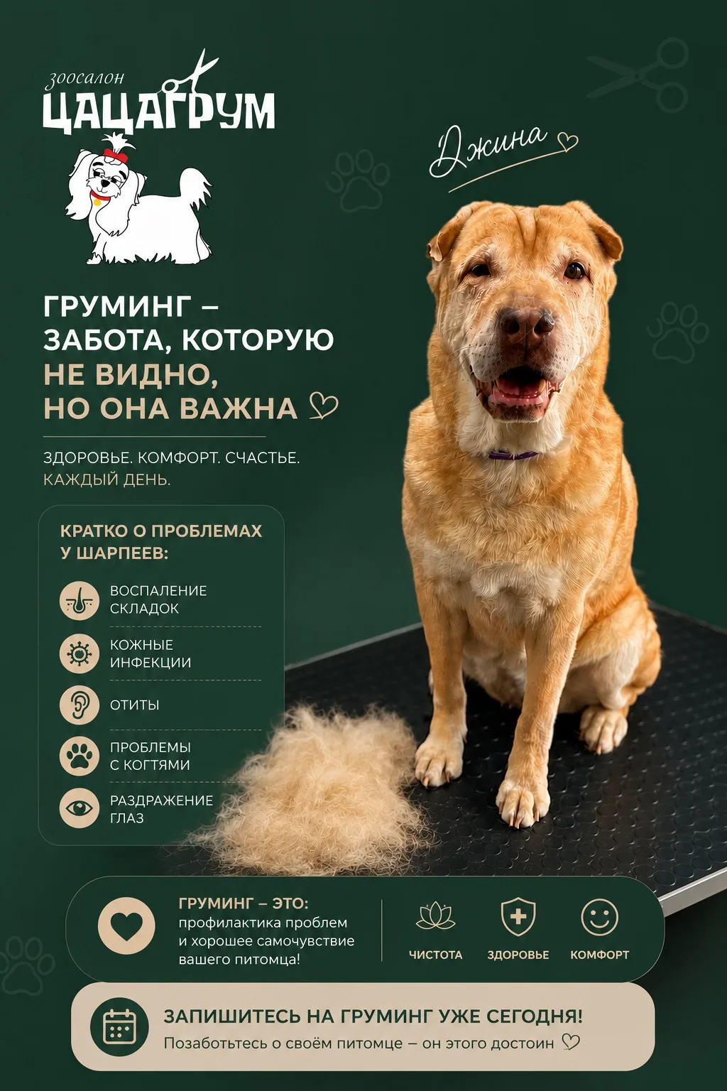 ✨ Очаровательная Джина 🐾