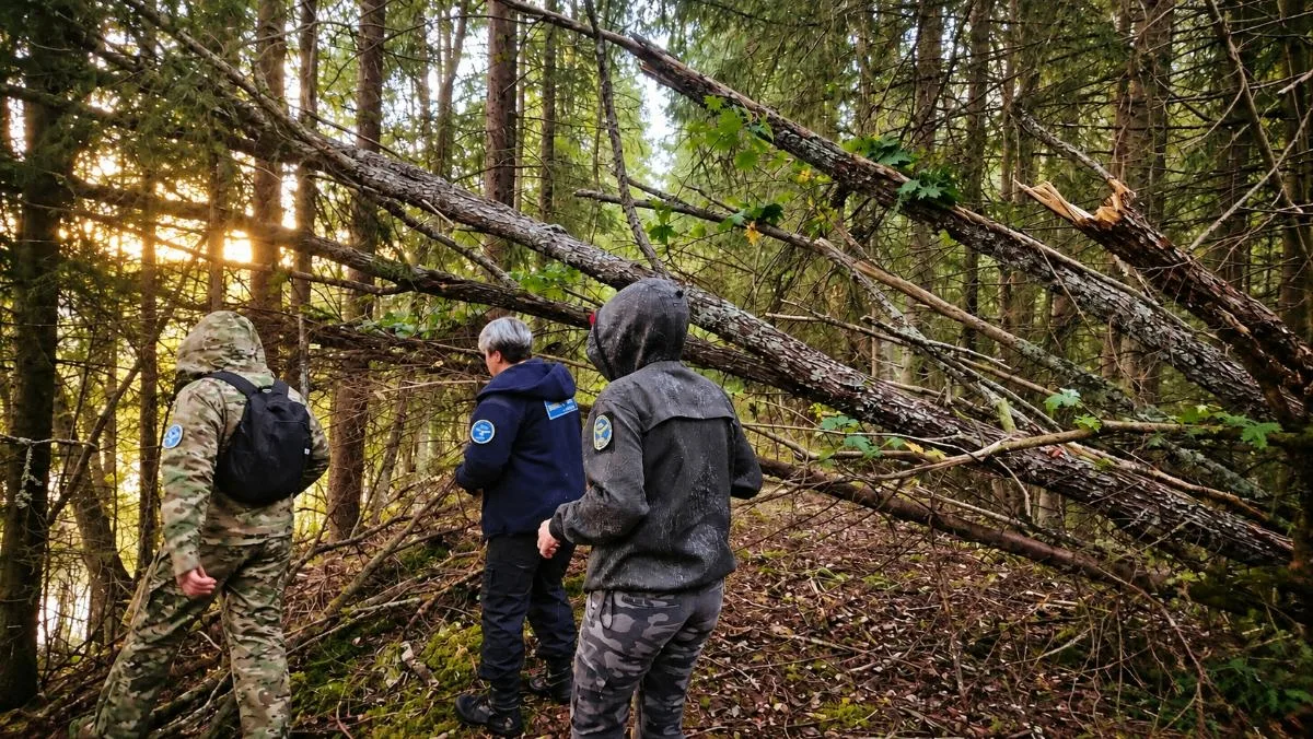 🌲 Потерялся в лесу спустя 11 лет: в Тверской области спасли 72-летнего грибника