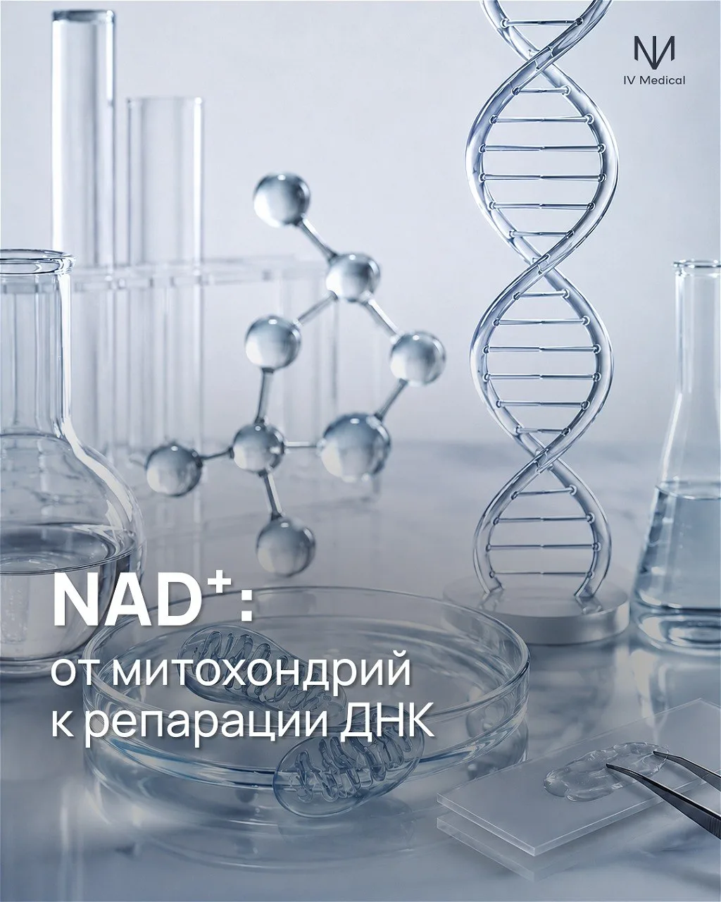 NAD⁺ — молекула, которая стала жертвой собственной популярности.

И не он один прошел этот путь: сна