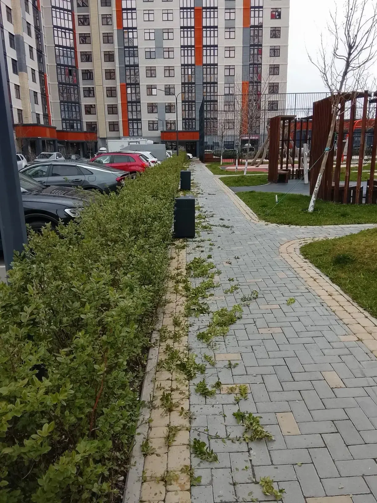 Уважаемые жители наших МКД по адресу: адмирала Пустошкина🕊  🌿 Помпокос травы: забота о доме и душе  