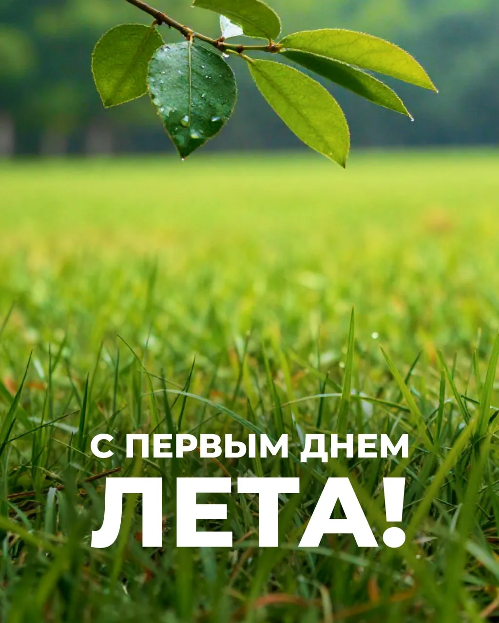 С первым днем лета!